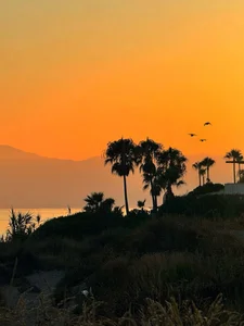 newjeff JEFF AT THE BEACH 🌊🏖️🔆 사진 2