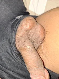 elvireli Public รูป  2