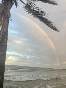 PrincesLeo Playa Gambar 6