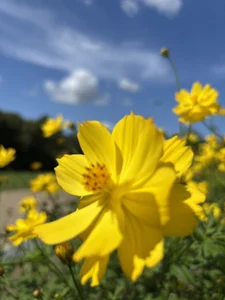 xxoLENAoxx expo a Osaka Pic