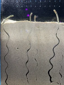 _Meimi_ Public 사진 5