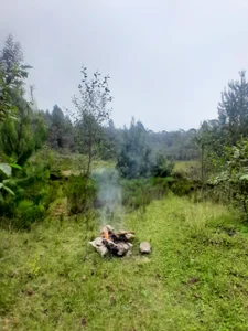 Graboumbom Tranqui slika 2