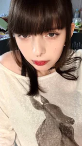 for cute kittens
