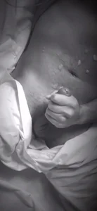 Public de lollyliner  7 Imagens