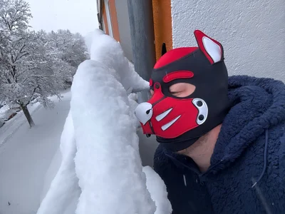 PupW0lfy Wolfy Foto 5