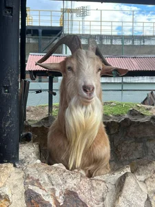 marthina_thompsson When Marthina is offline. 🥰 사진 8