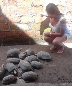 DonaBella17MY LIFE图片 3