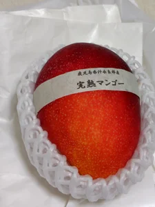 nao-nao-1971 祝！エピックゴール達成 Εικόνα 4