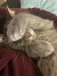 LizaGost Public зображення 4