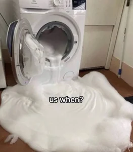 Pikashu7u7 Memes I like  2টি ছবি