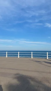 CelesteBailey At the Sea🌊 Immagine 