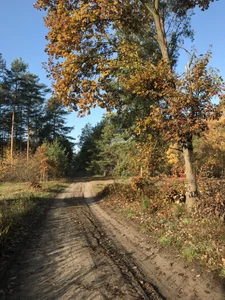 Haariglang kullanıcısının Meine Freizeit nur landschaftlich albümü -  7 fotoğraf