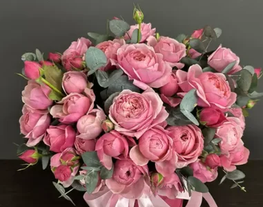 bouquet de Audrey_Aura  6 Imagens