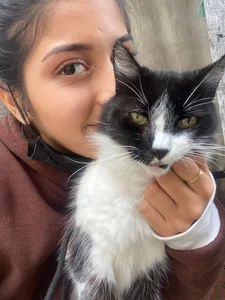 Zdjęcia Little_Lisy my pets ❤✨:  9