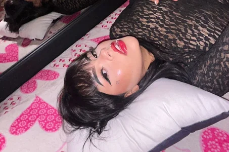 Zdjęcia martes___ Public: 