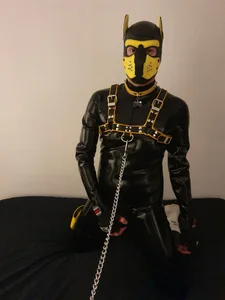 Pup_Noir Latex & More Billede 2