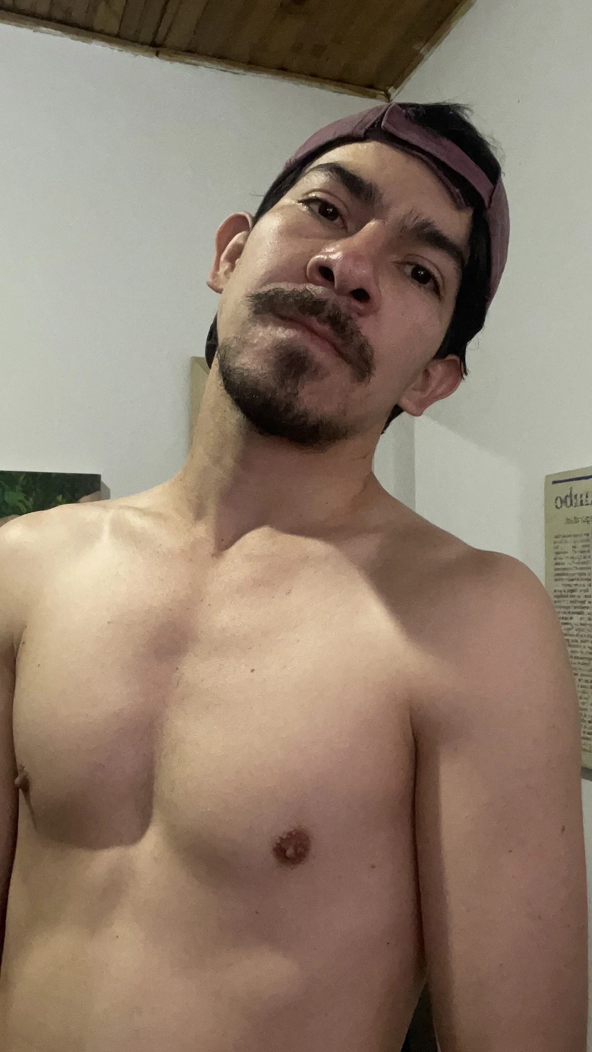 Foto  3642 de Piter_Drako – em alta