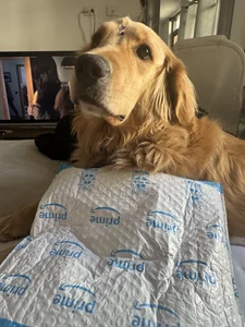 Zdjęcia Condes_carmen Thank you for fulfilling my wish for Amazon:  9