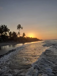 Scarlett_grey1 Vacation 🏝️🏄🌊🥥 Pic 9