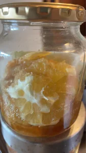 pikarinco_2cf ぴかりんこの日常 Pic 8