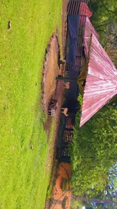 haiden-hot19cm Animales Εικόνα 2