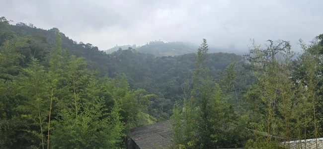 🦋🌳🪴🌱MY FAVORITE PLACES🌱🪴🌳🦋 de Aleera_Walton Foto 5