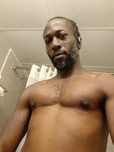 King_BlackStallion Public Poză 4
