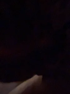 KOdaLion Public Billede 5