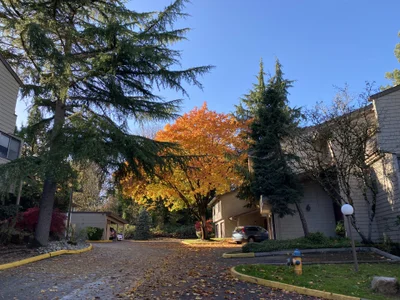 Snarfle82 Beautiful west coast skies Pic 6