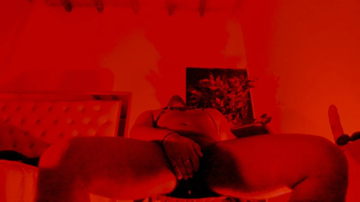 Трендове зображення  1956 im_jeus_stan