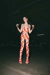 VeronicaVances Do Not Cross Εικόνα 5