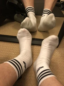 PigDadDog Public slika 5