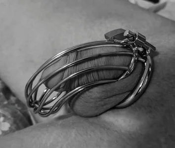 Public od dirtycouplecph  4 snímek