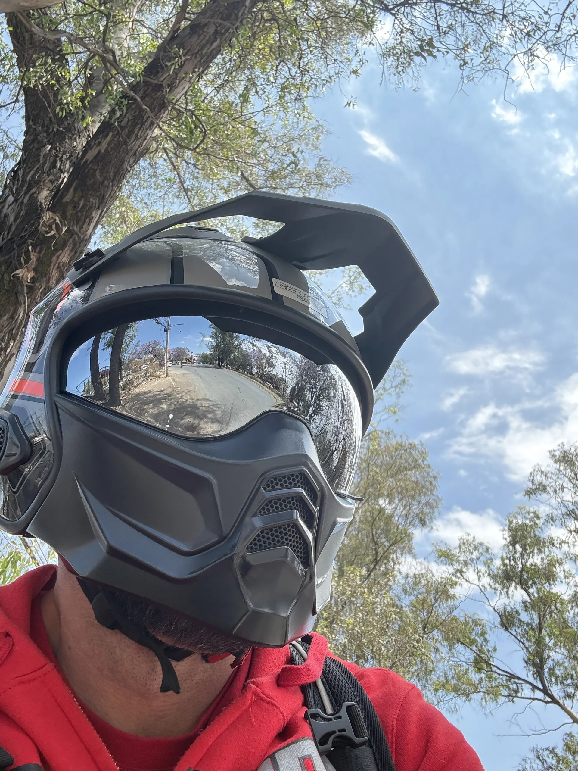 Public de wolfbucker  Imagens