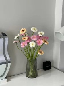 Iris_xyz Hoa đồng tiền 🥰 Pic