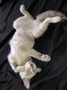 jisuss22x's XXX Nude Photo 7