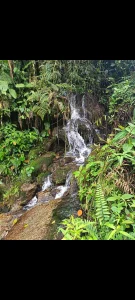 Annabell_Florez my escape spot, nature 💚💚💚 Pic 6
