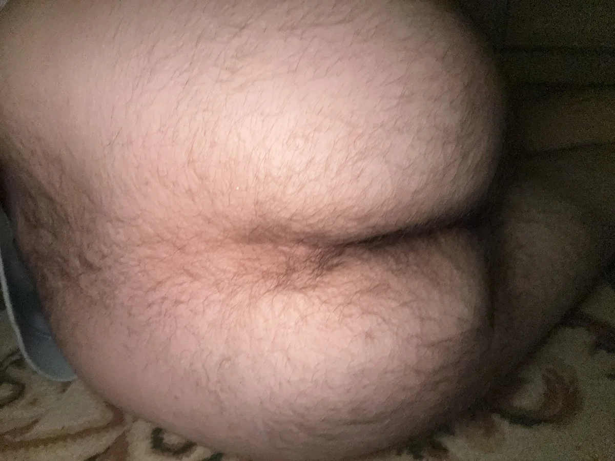 Strigonok immagine di tendenza 2918