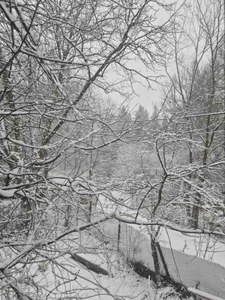 ilievmt84 Public Kuva 5