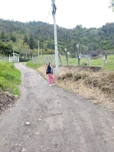 Chanelll_Taylorr_ kullanıcısının My rest day taking up positive energies somewhere albümü -  4 fotoğraf