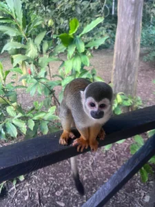 Evangeline_Taylorr Colombian Amazon🌺 صورة واحدة|Evangeline_Taylorr Colombian Amazon🌺 صورتان|Evangeline_Taylorr Colombian Amazon🌺  6 صور|Evangeline_Taylorr Colombian Amazon🌺  6 صورة