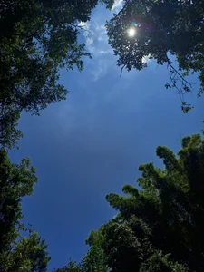 NayadeのPublicの枚の写真