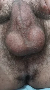 Public de Diogopicha  5 Imagens