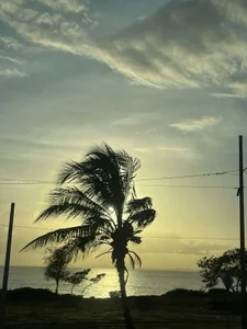 Lucy_Princes beach🌴🥥 Pic 6