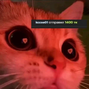 MaryNixon_My KINGS 👑图片 2