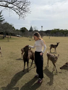 Japan 2026 (Osaka > Kyoto > Tokyo) 🇯🇵✈️✨ de KateJonson Foto 2