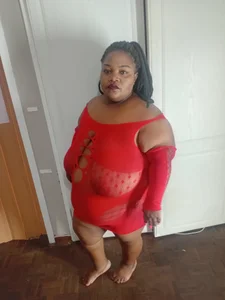 BBWMIDGET40 Public slika 8