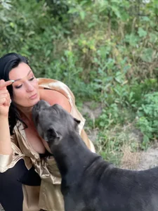 tender de DreamLove2020 Foto