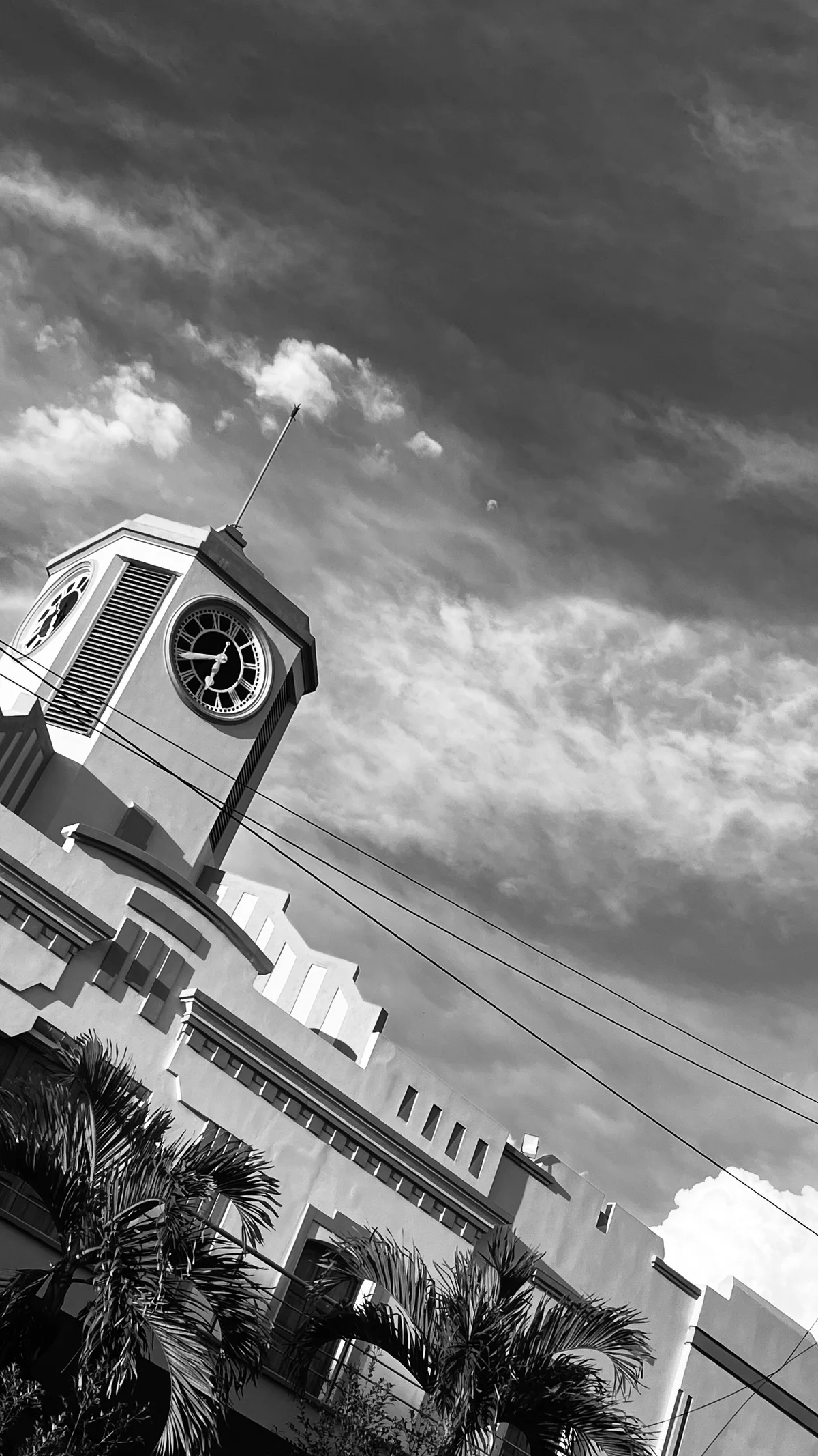ApoloXanthos Foto en Tendencia 3935