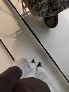 MerlinMeyer: 😻😻😻 ( 2 фото)